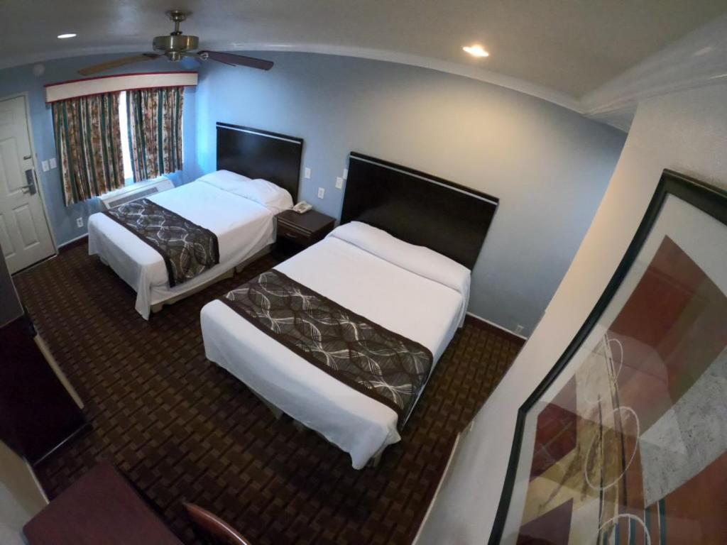 Habitación Doble Estándar con 2 camas grandes