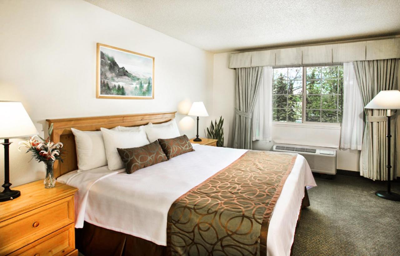 Superior King Suite,1438872076:JPEG