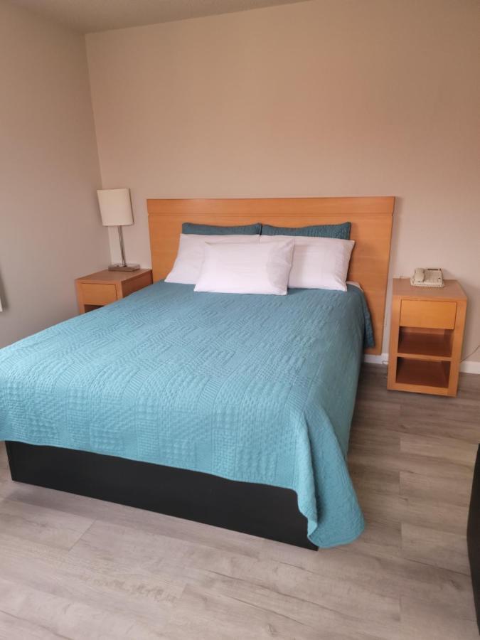 Habitación Estándar - 1 cama grande