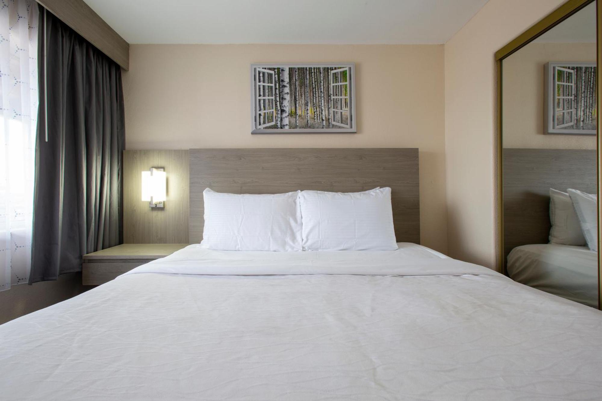 Suite Penthouse