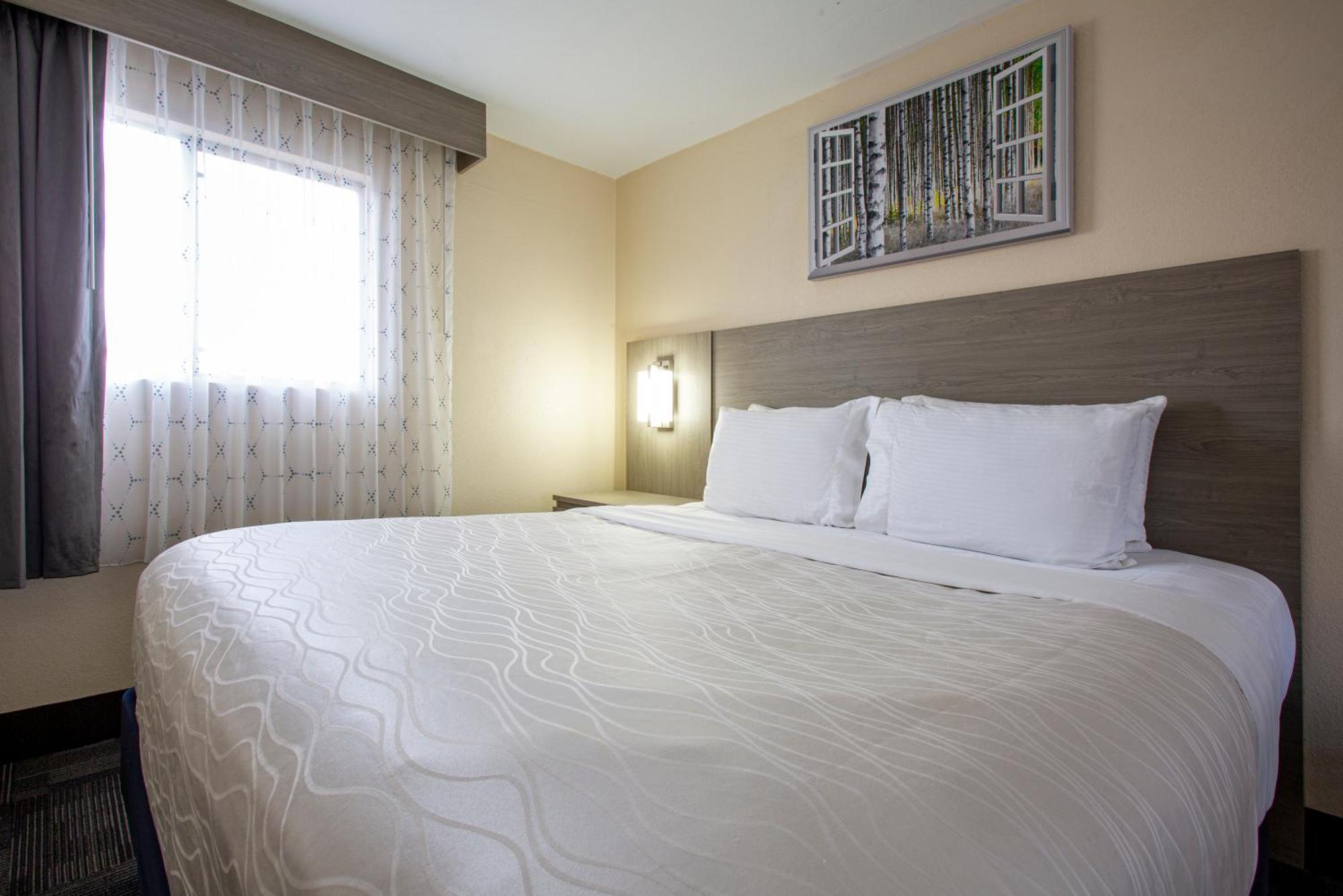 King Room Two King Beds