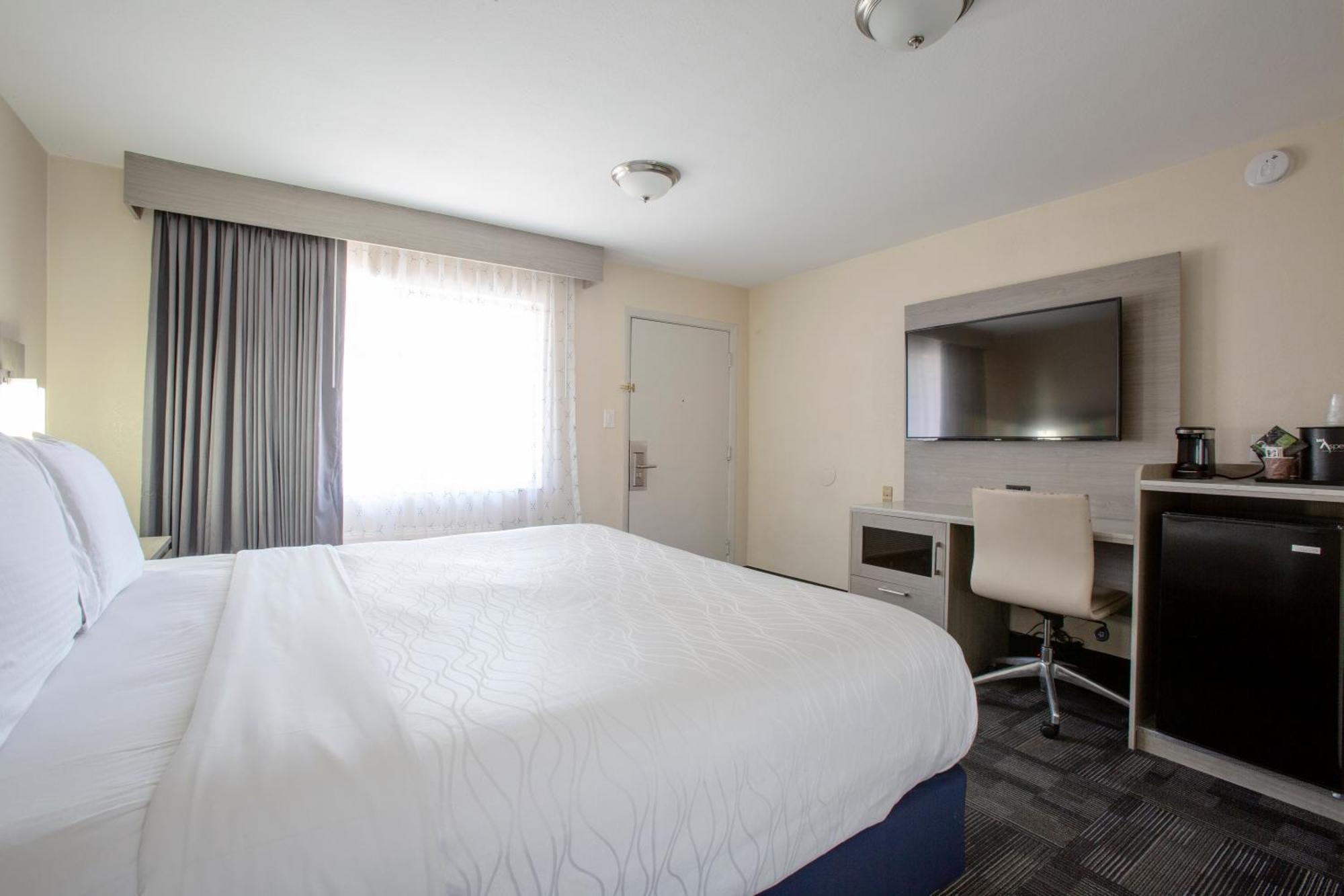 King Room Two King Beds