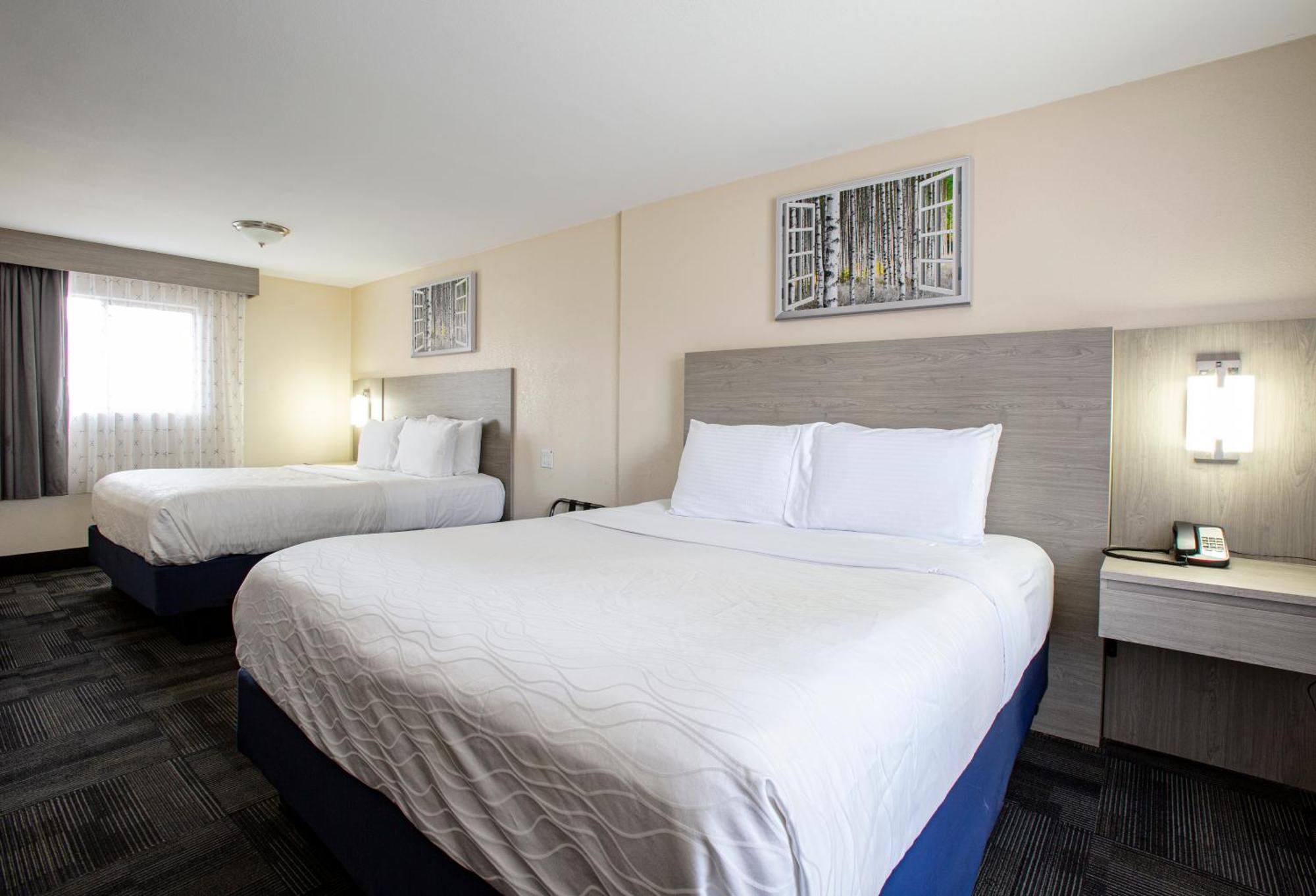 King Room Two King Beds
