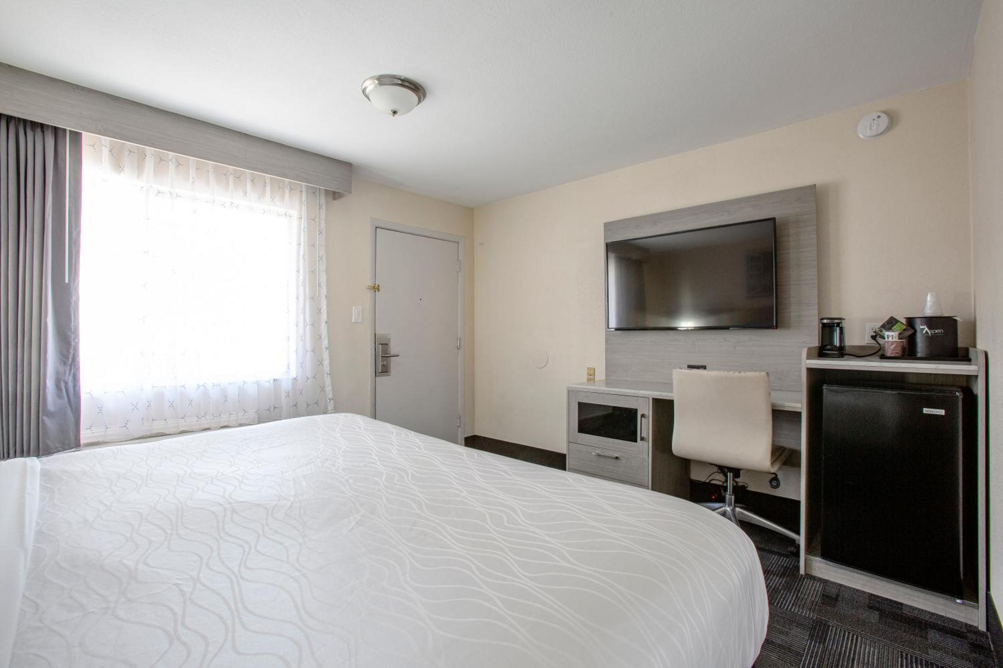 King Room Two King Beds