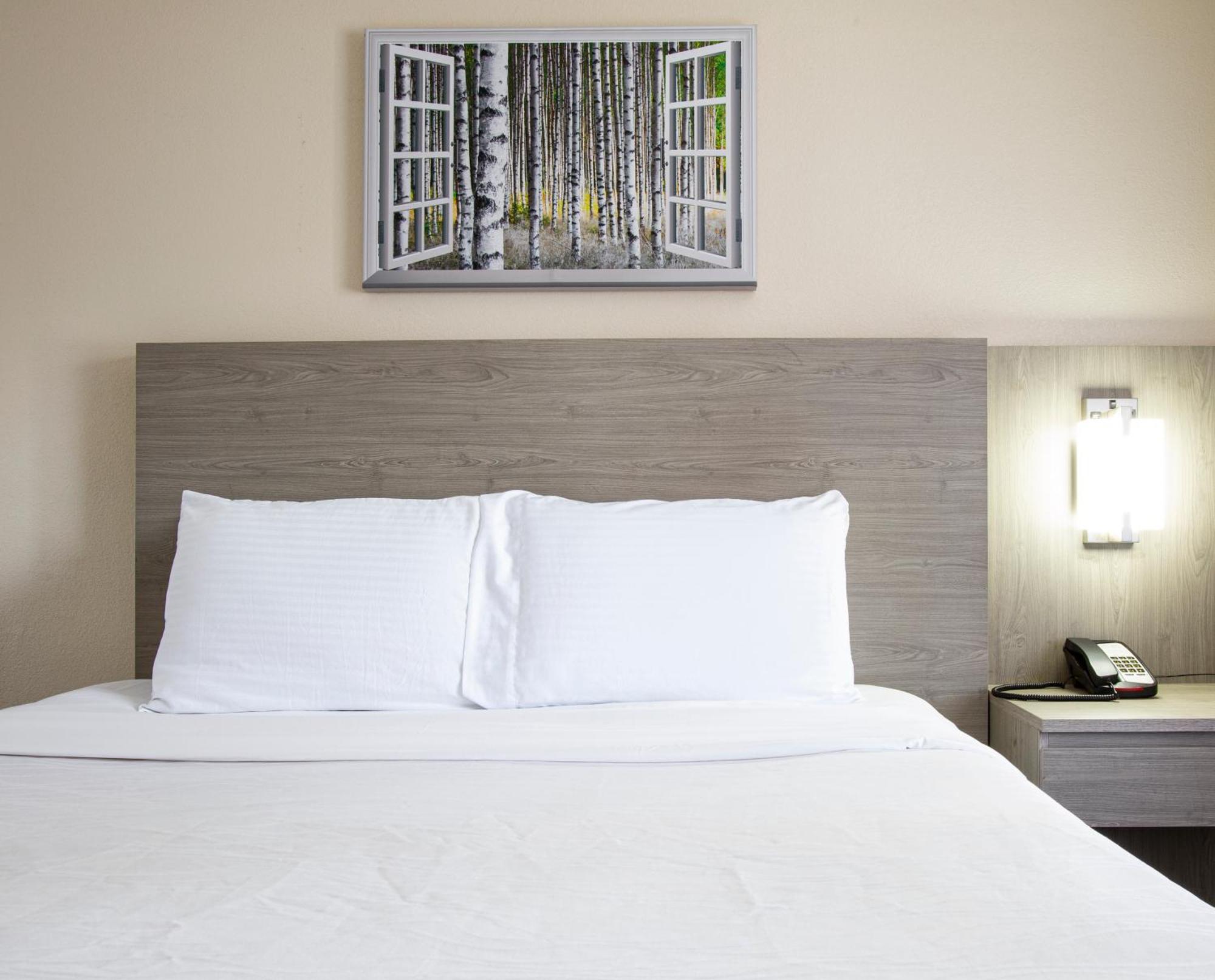 King Room Two King Beds