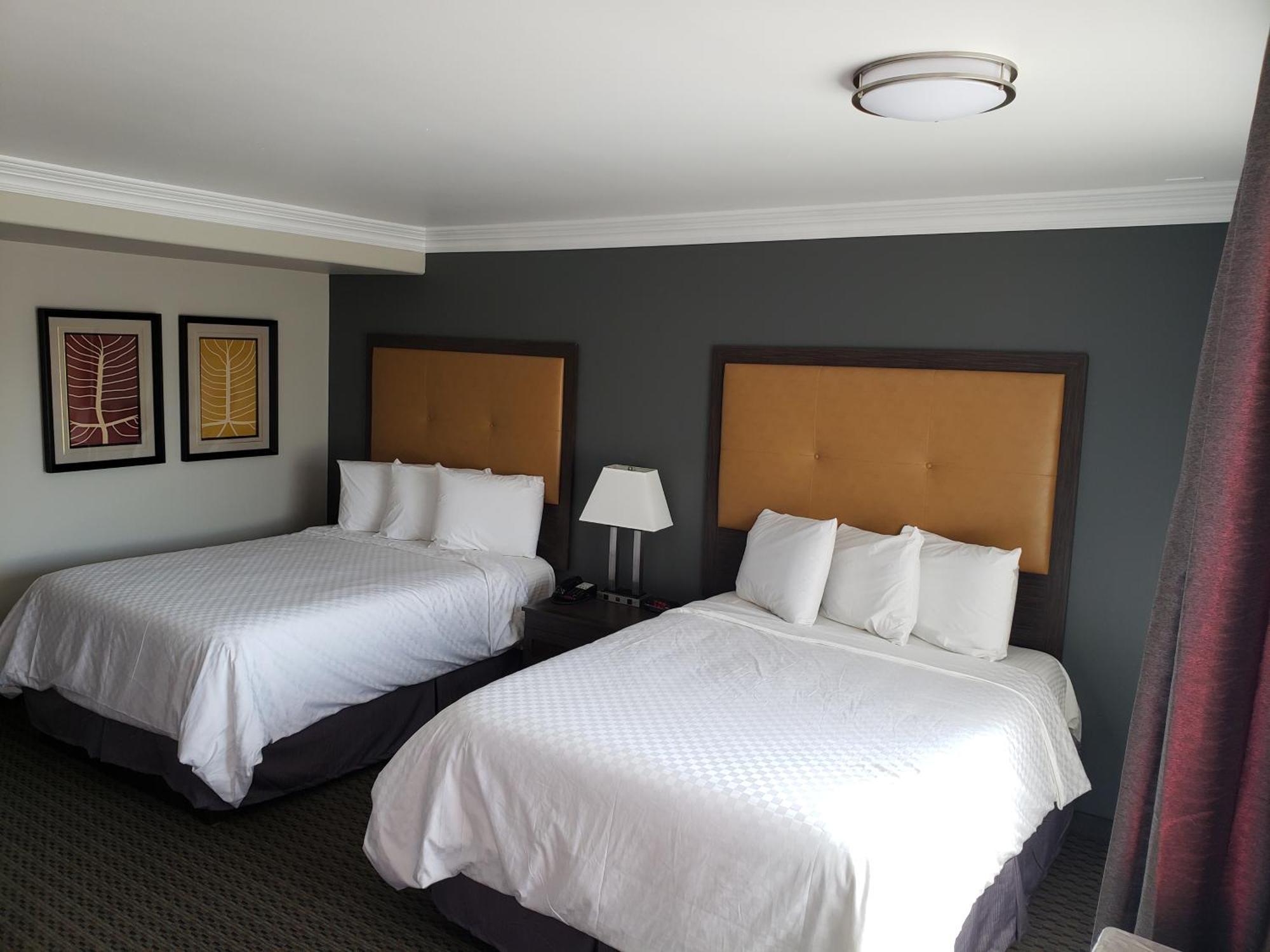 Zimmer mit 2 Queensize-Betten