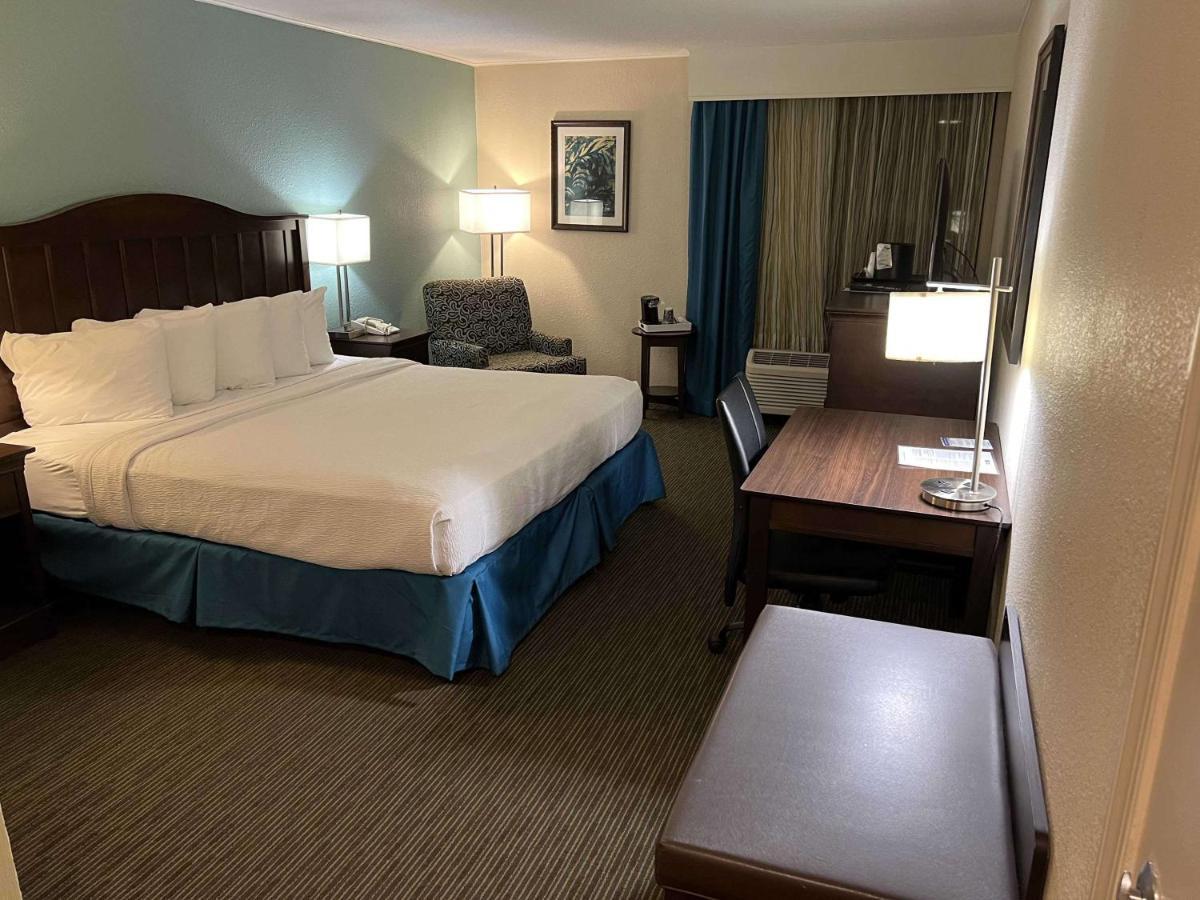 King Room - Non-Smoking,1267950037:JPEG