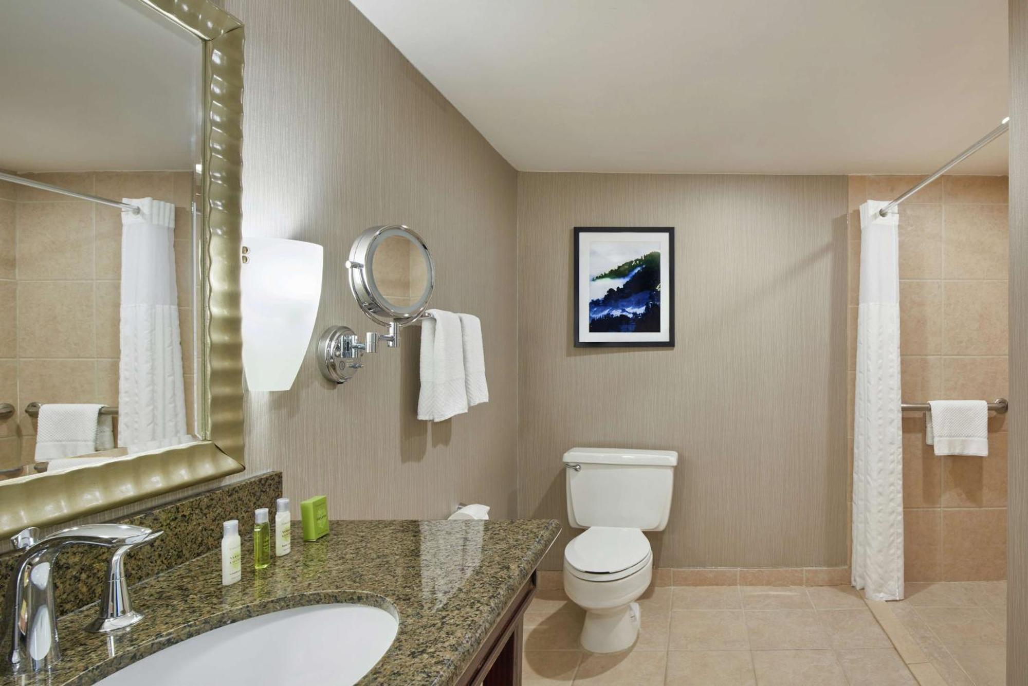 King Room with Roll-In Shower - Mobility/Hearing Accessible,1552318117:JPEG