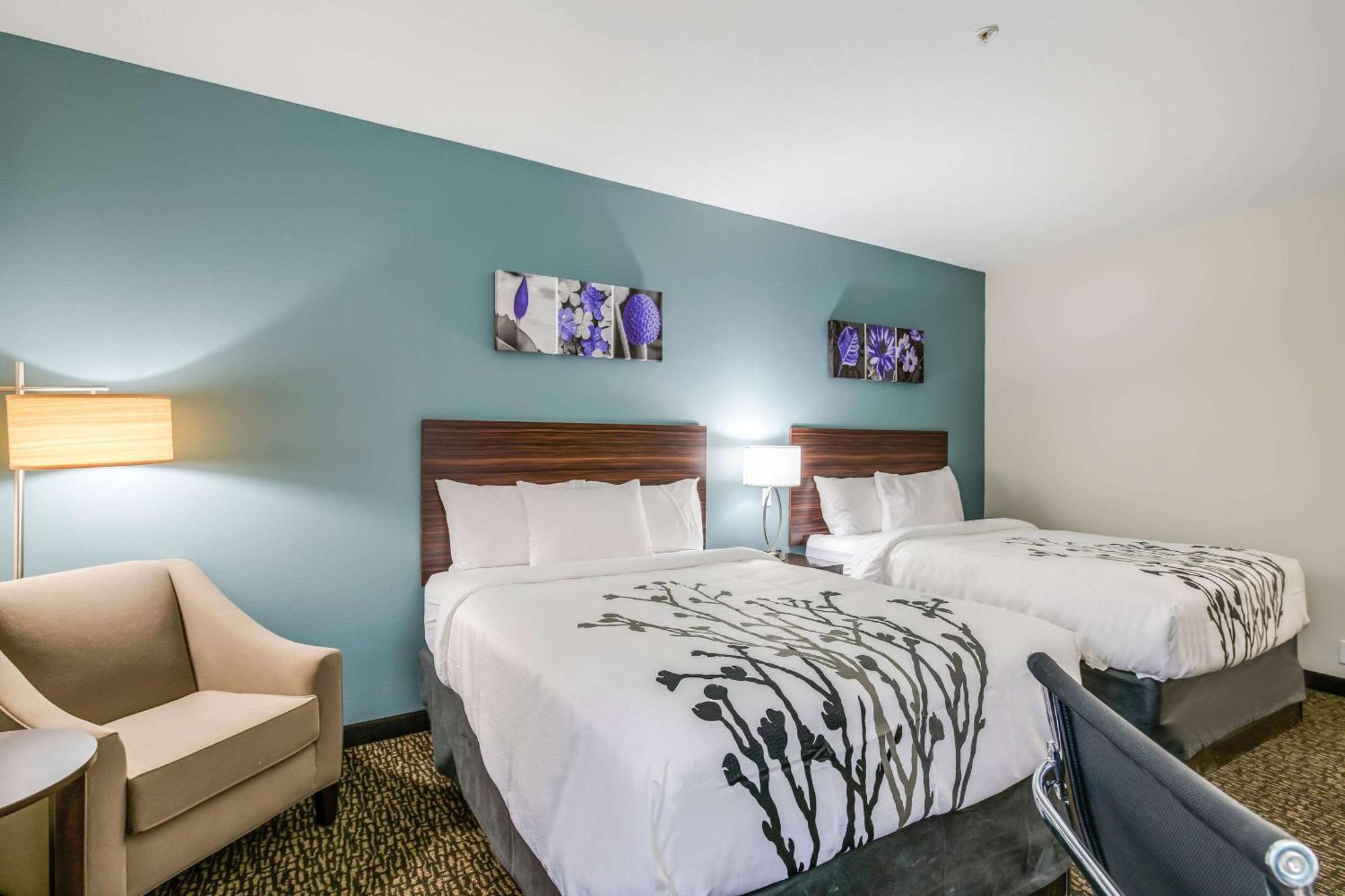 Standard Queen Room Two Queen Beds Non Smoking