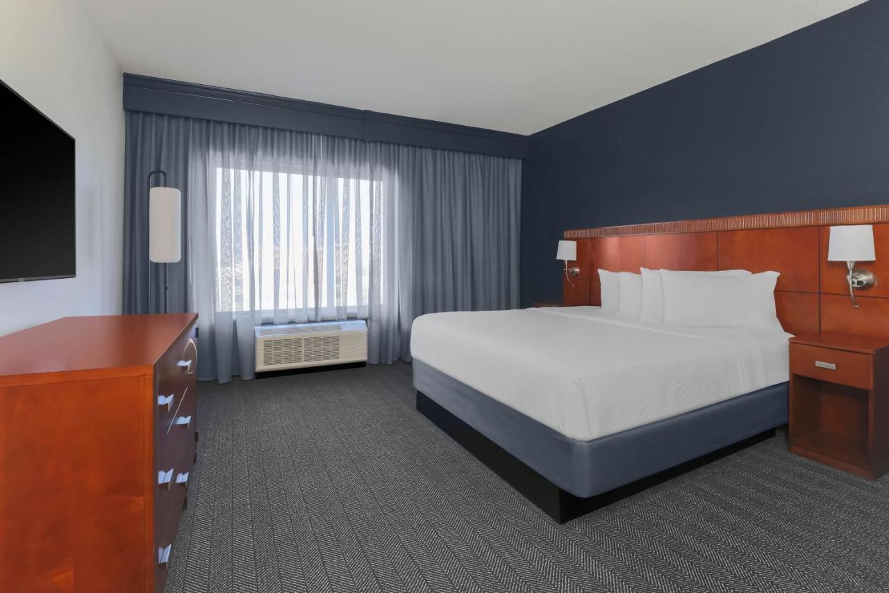 Suite King con 1 Camera da Letto e Divano-Letto