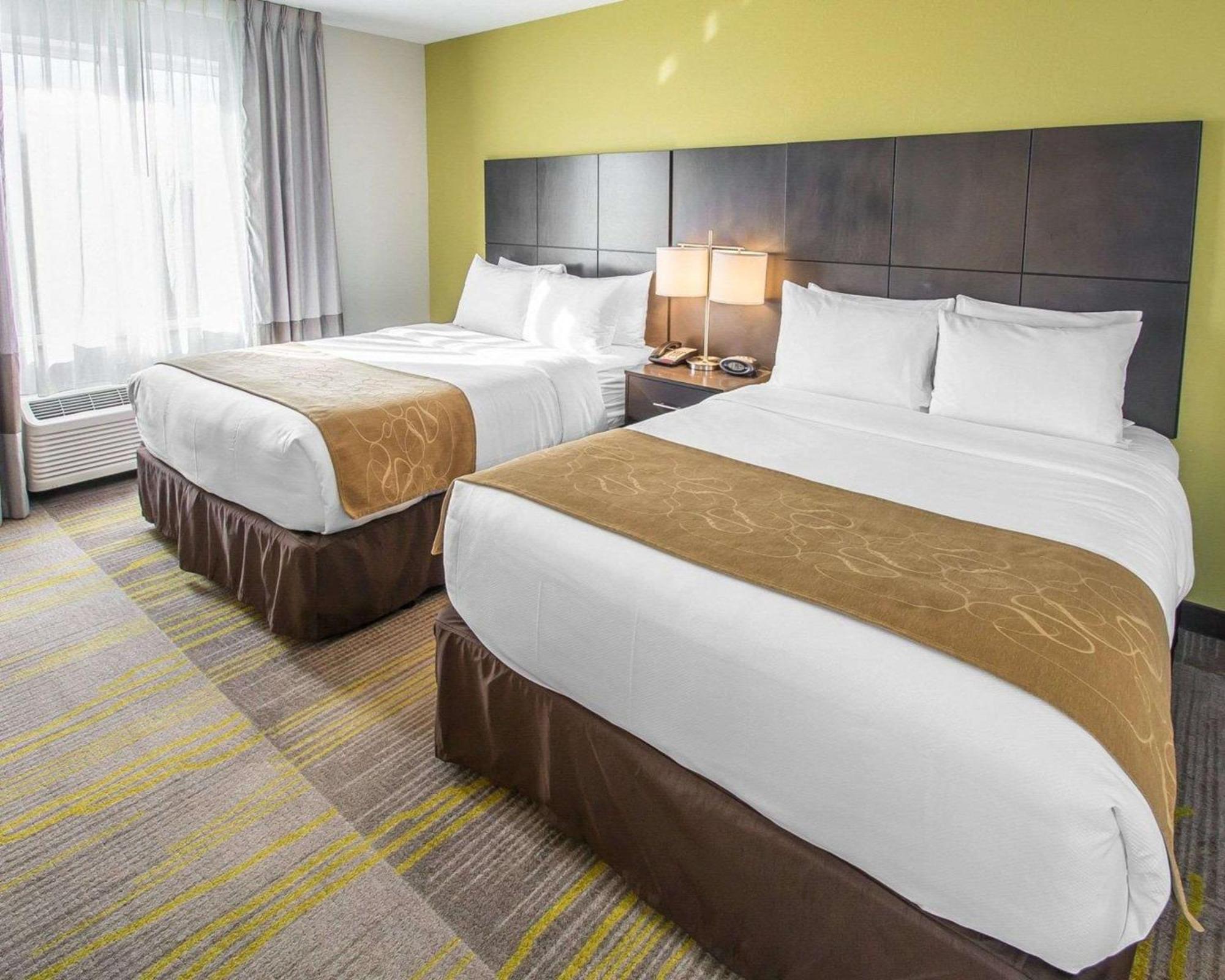 Suite mit Queensize-Bett - behindertengerechter Zugang/Nichtraucherzimmer