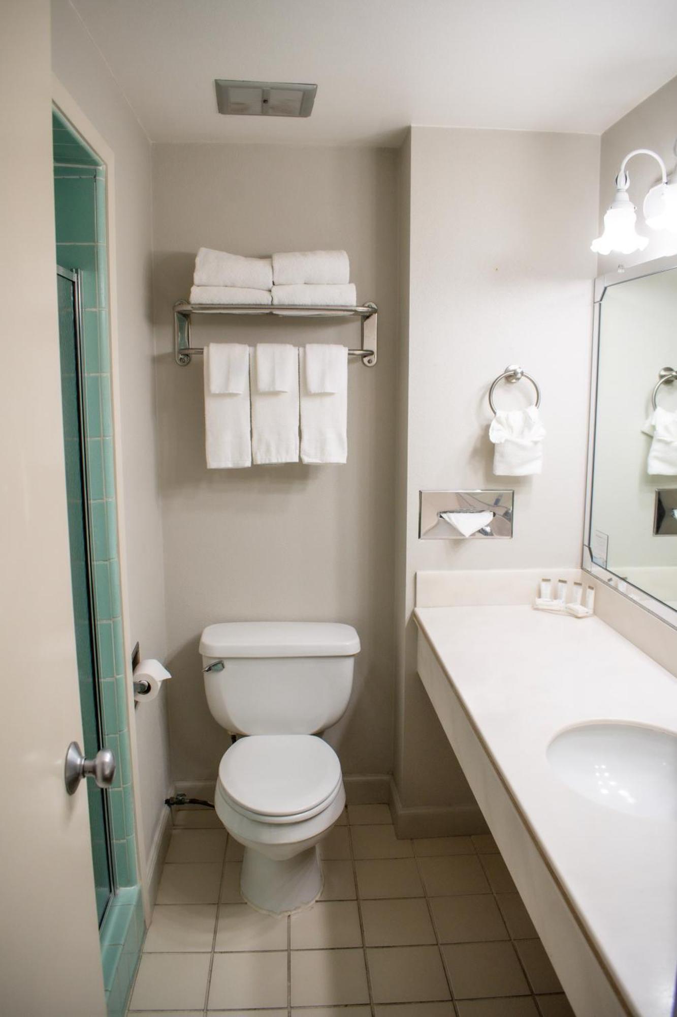 Suite de 1 dormitorio con 3 camas grandes - No fumadores