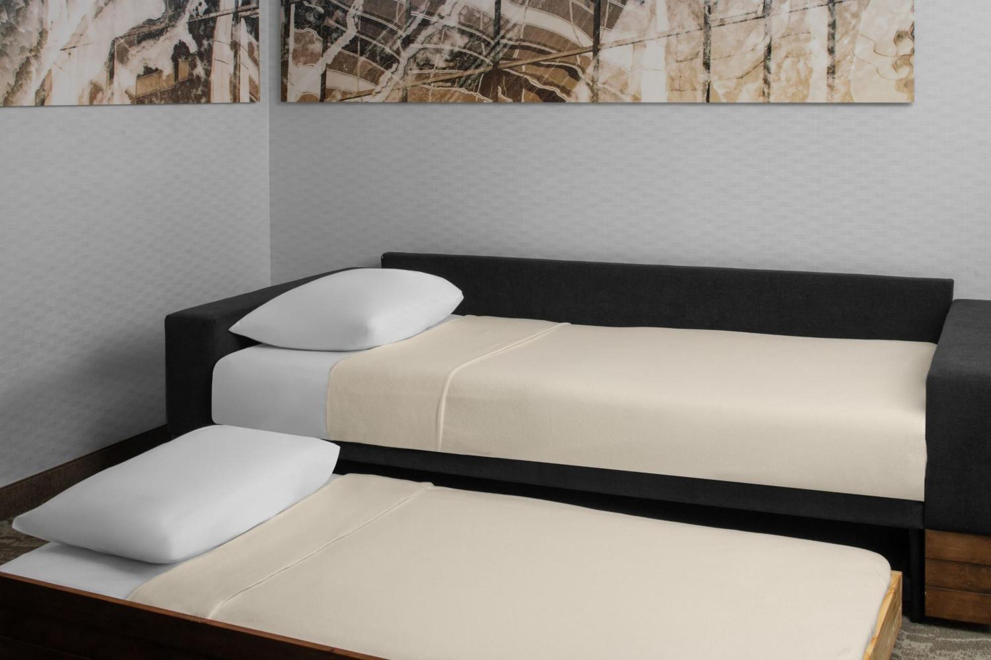 Studio with King Bed and Trundle Sofa