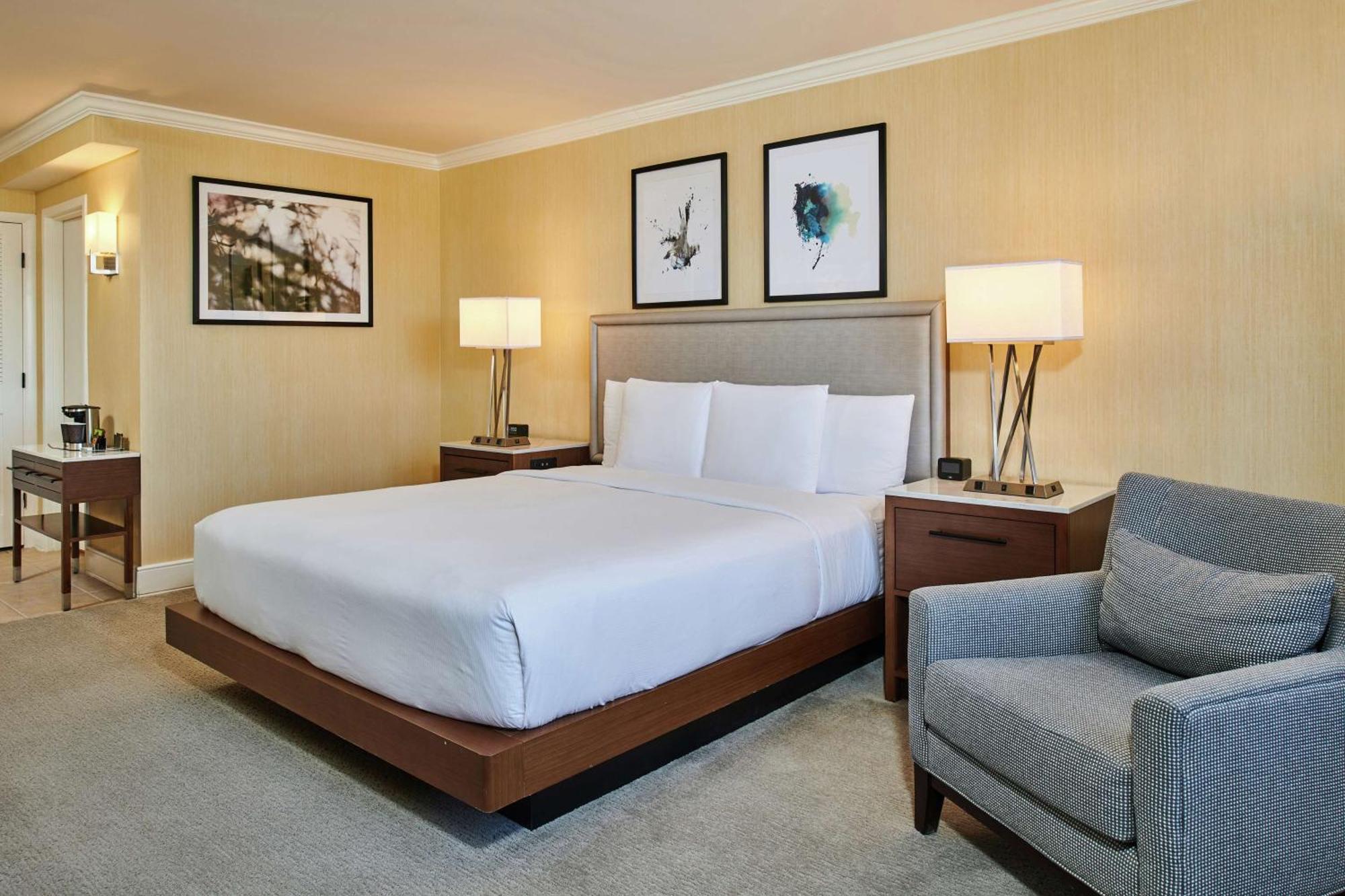 King Room Accessible Tub Mobility Hearing Access