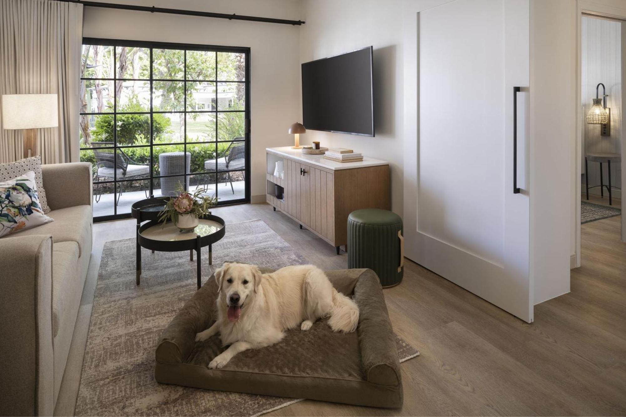 One-Bedroom Garden King Suite Sofa Bed