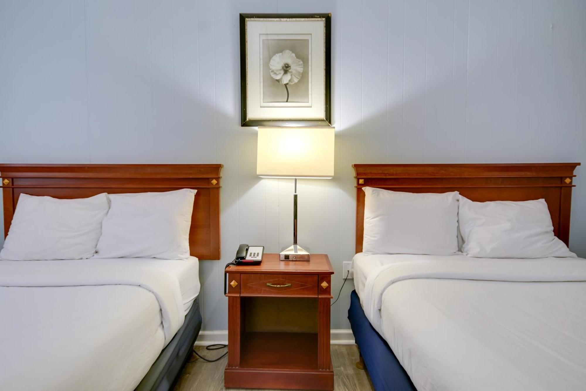Double Room Two Double Bed