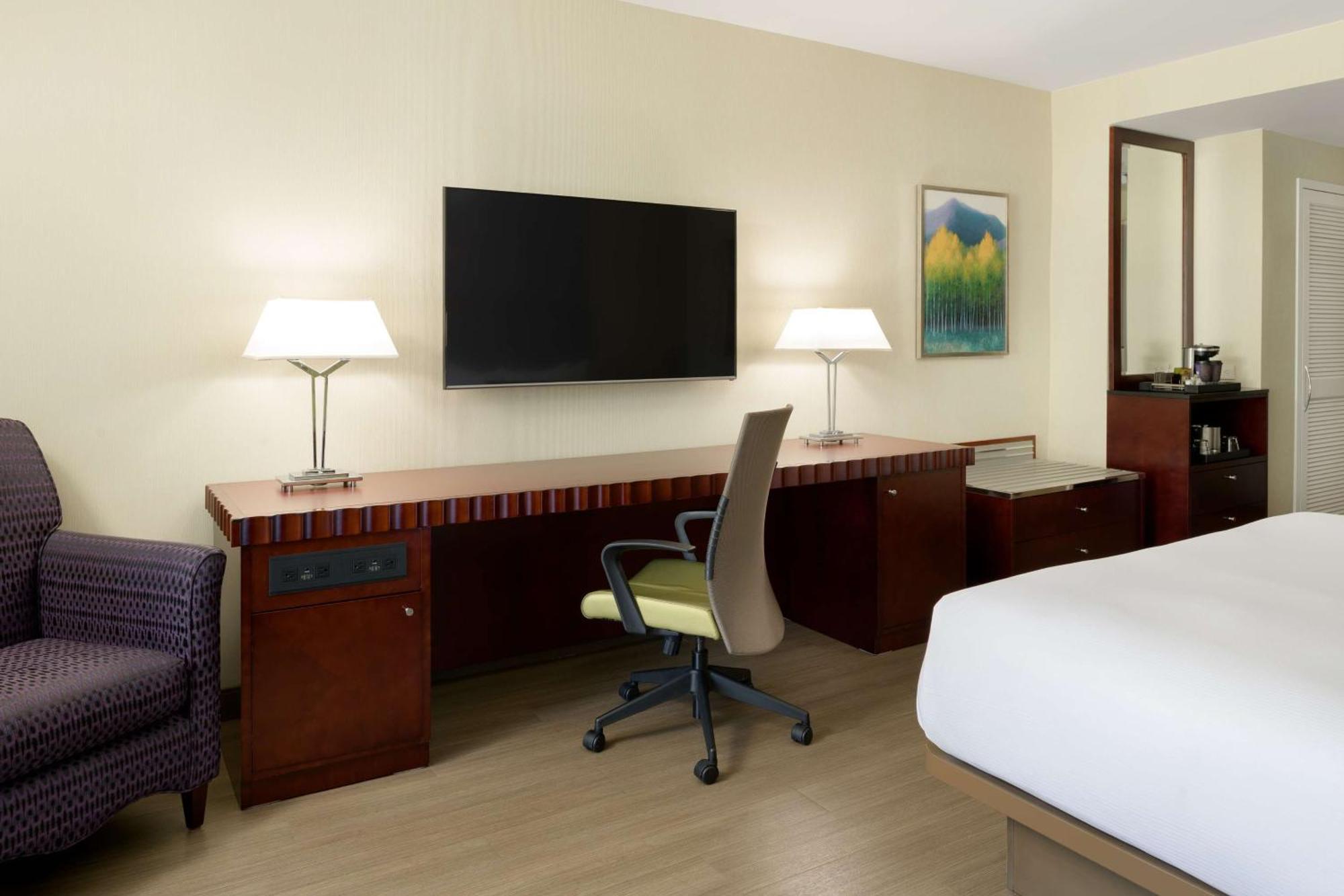 Habitación Deluxe con cama extragrande
