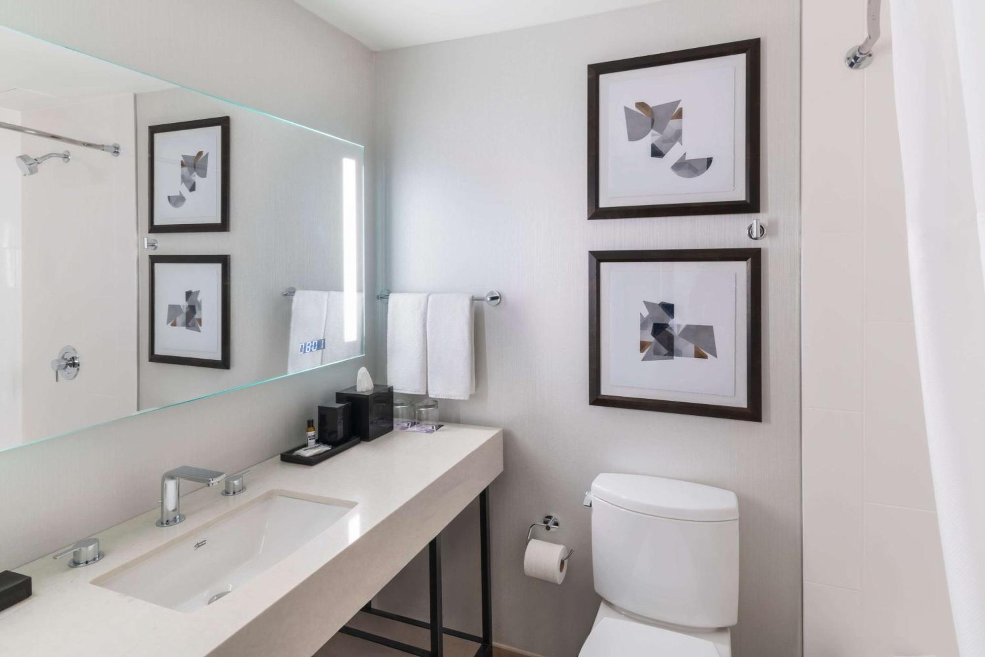 Habitación Doble Premier con cama extragrande