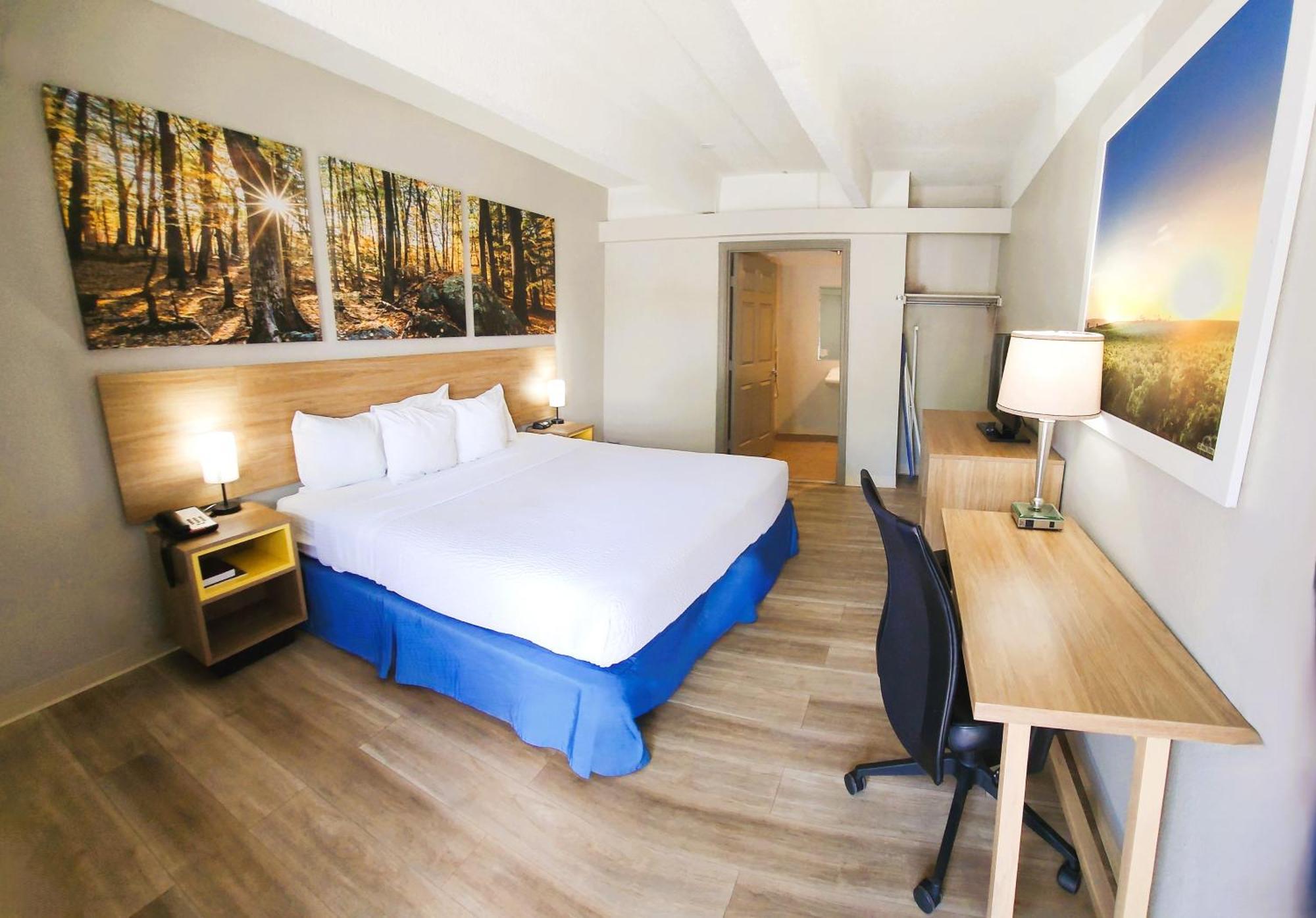 Habitación adaptada para personas de movilidad reducida - No fumadores - Cama extragrande