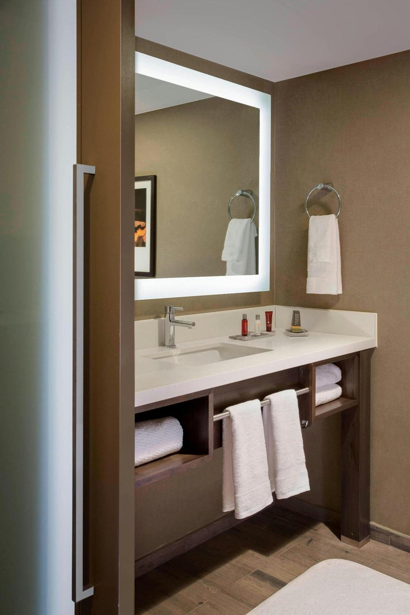 King Room Adapted Tub Mobility Accessible