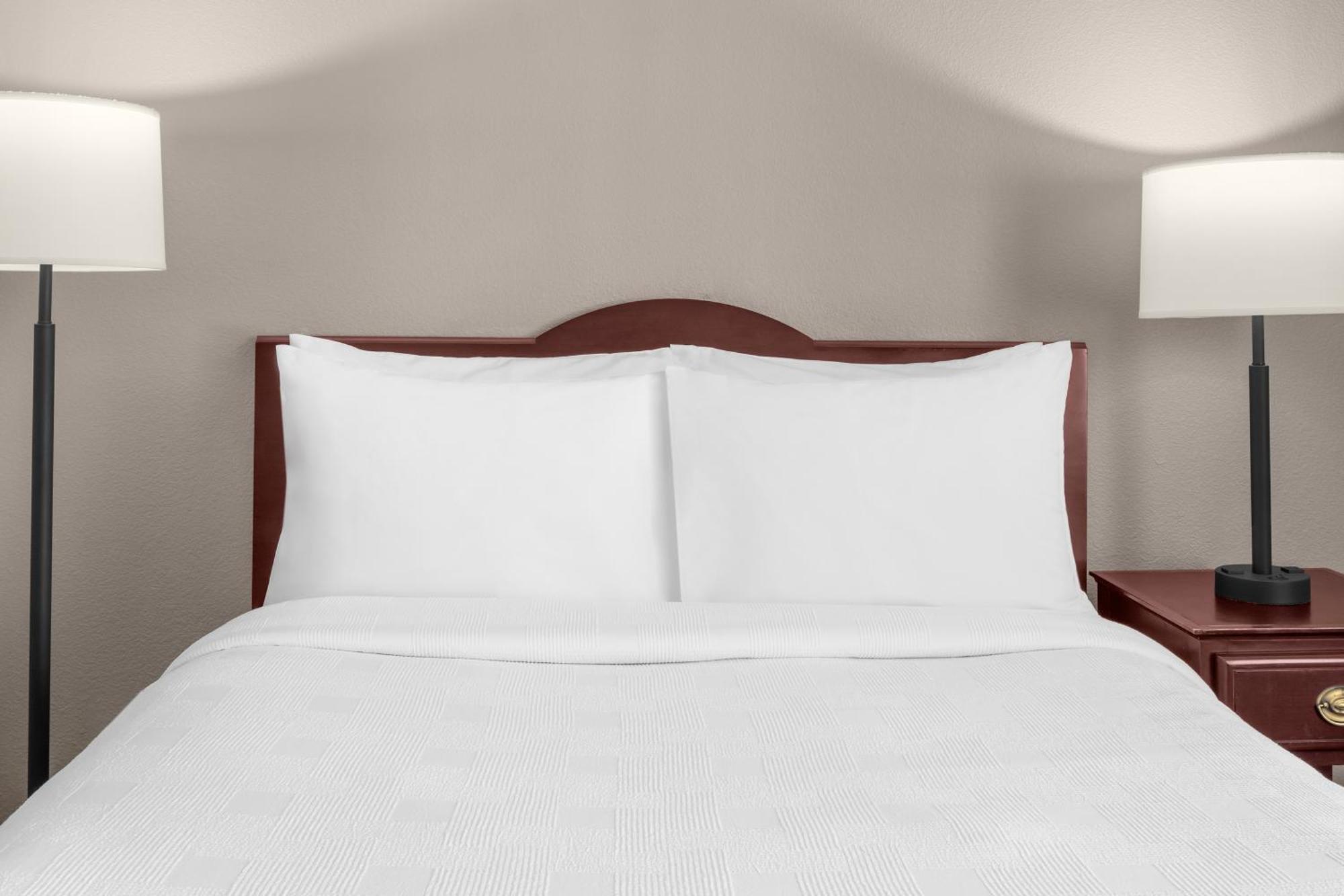 Studio Suite mit Queensize-Bett