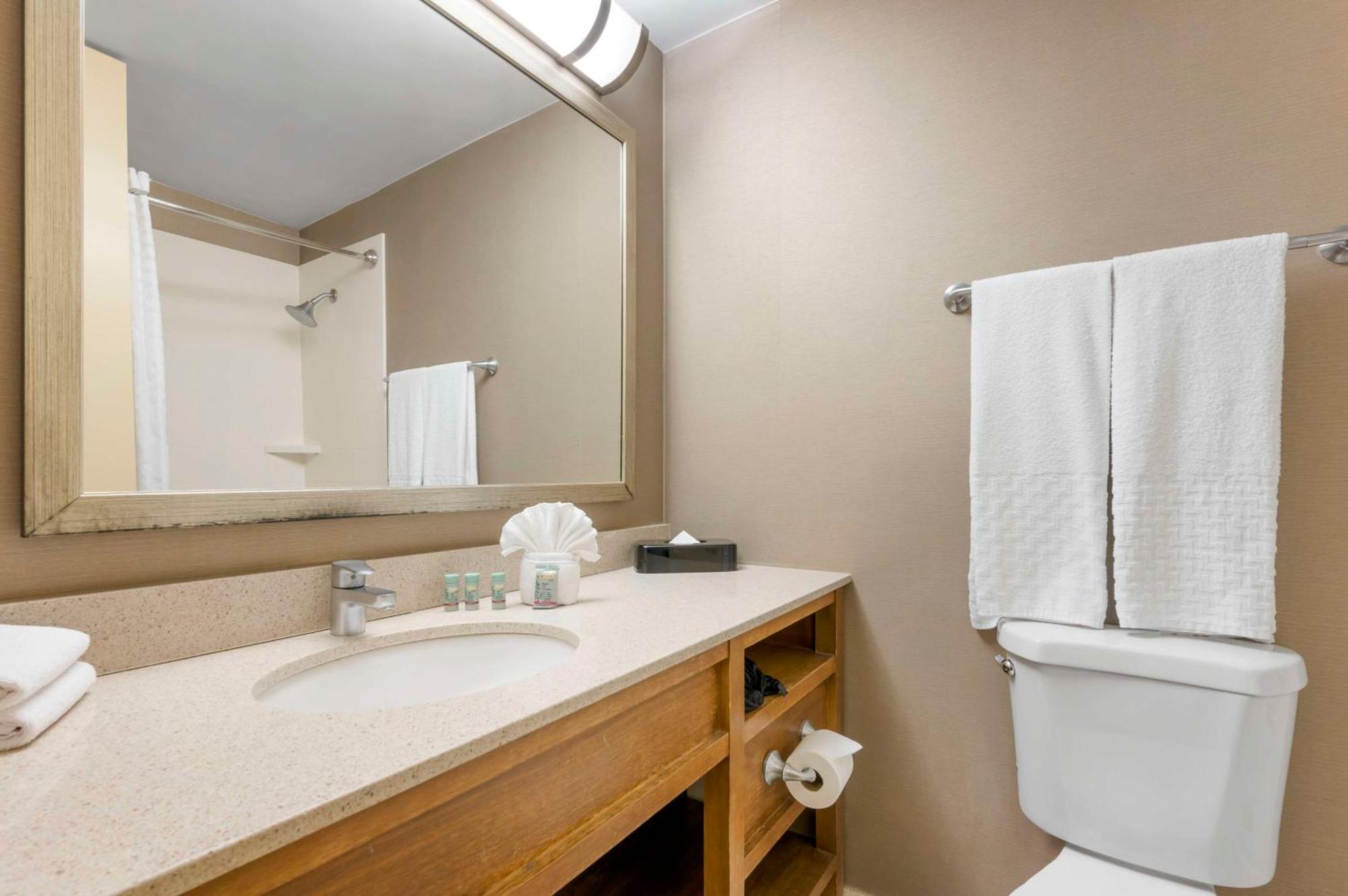 Double Room with Two Double Beds - Non-Smoking,1645648728:JPEG