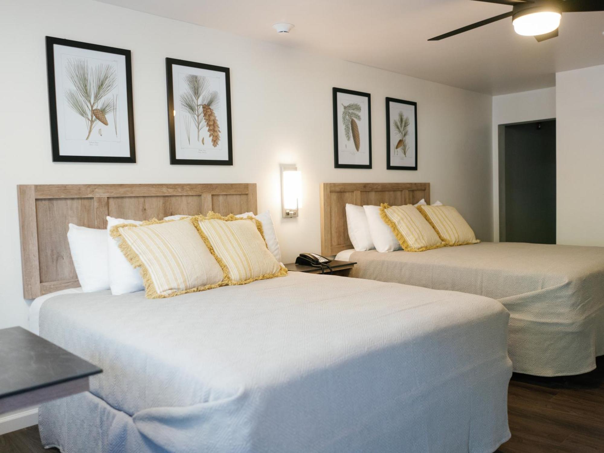 Deluxe Queen Room Two Queen Beds