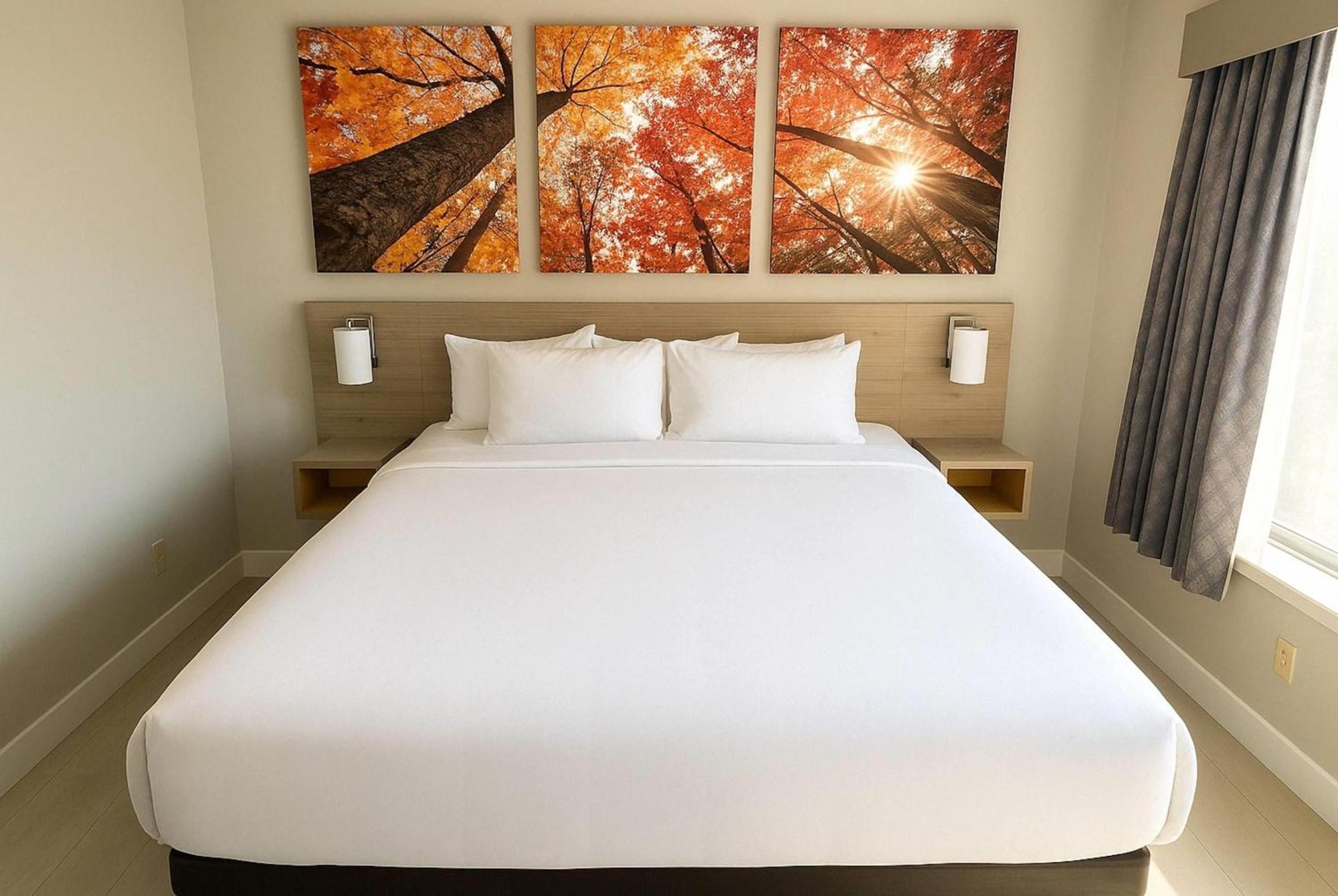 King Room with Mobility Access and Bathtub with Grab Bars, Non-Smoking