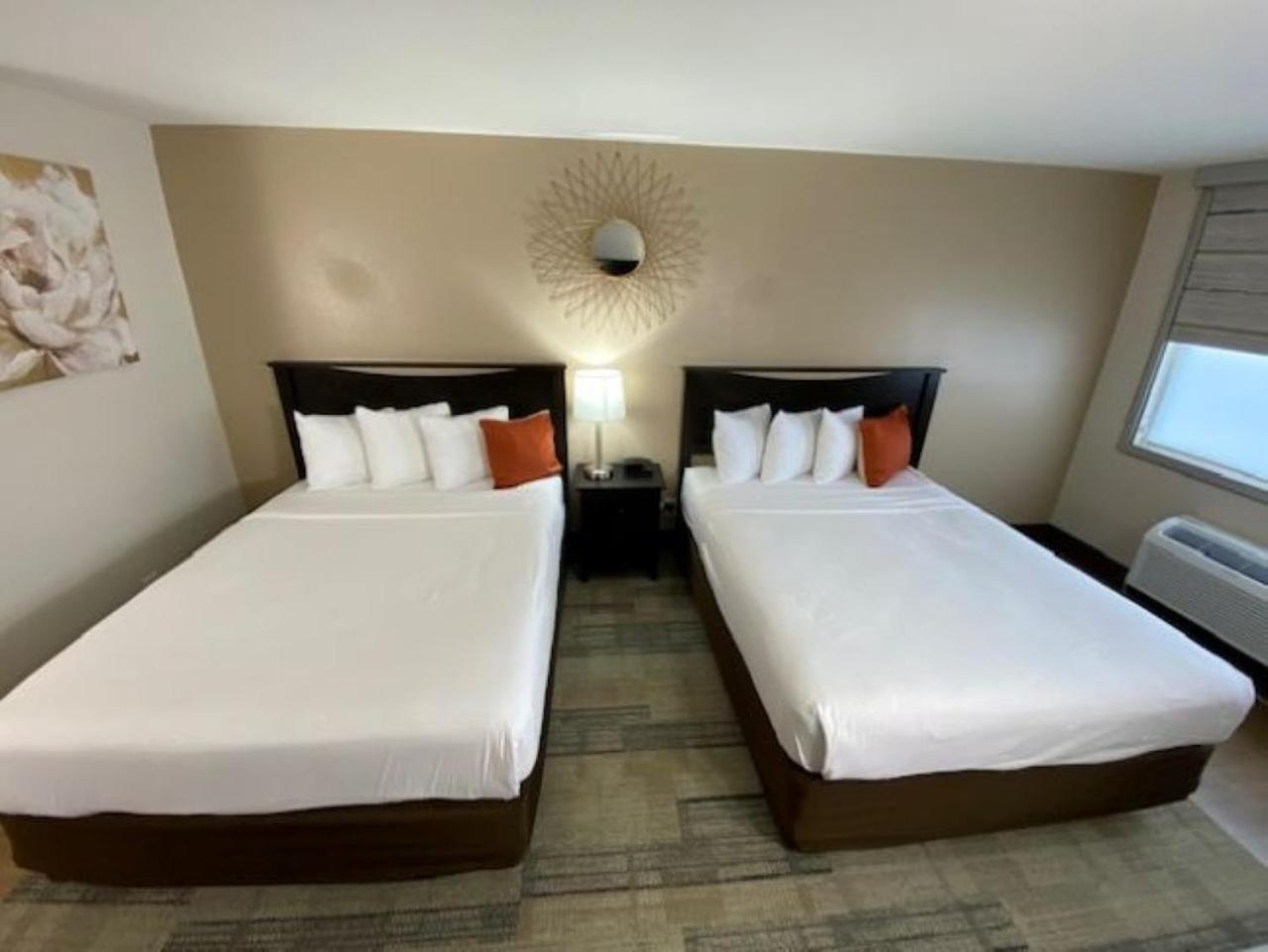 Queen Room - Disability Access,1676734291:JPEG