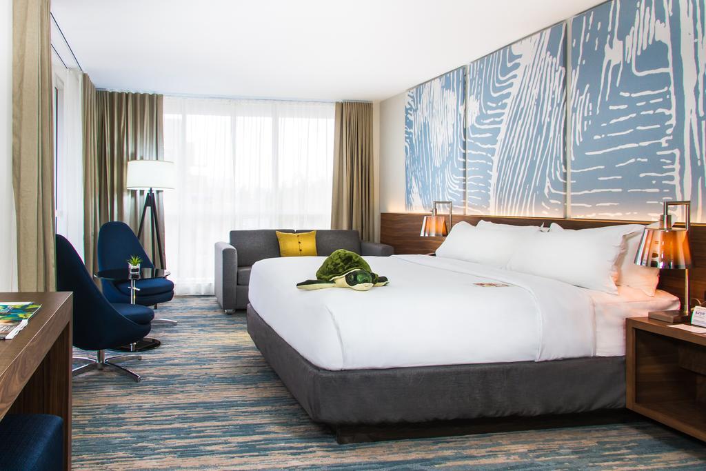Suite Junior con cama extragrande y sofá cama