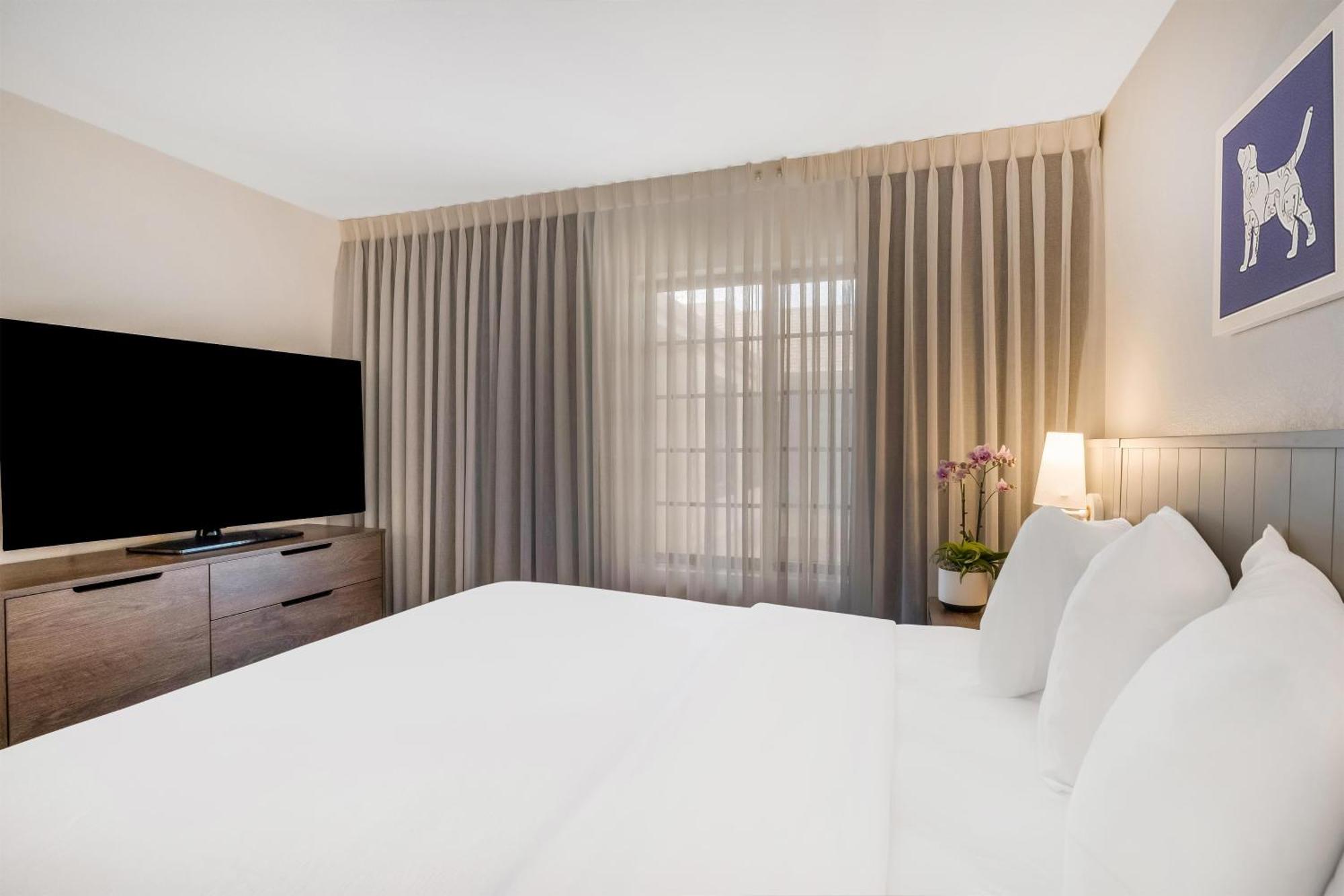 Suite de 1 dormitorio - 1 cama extragrande