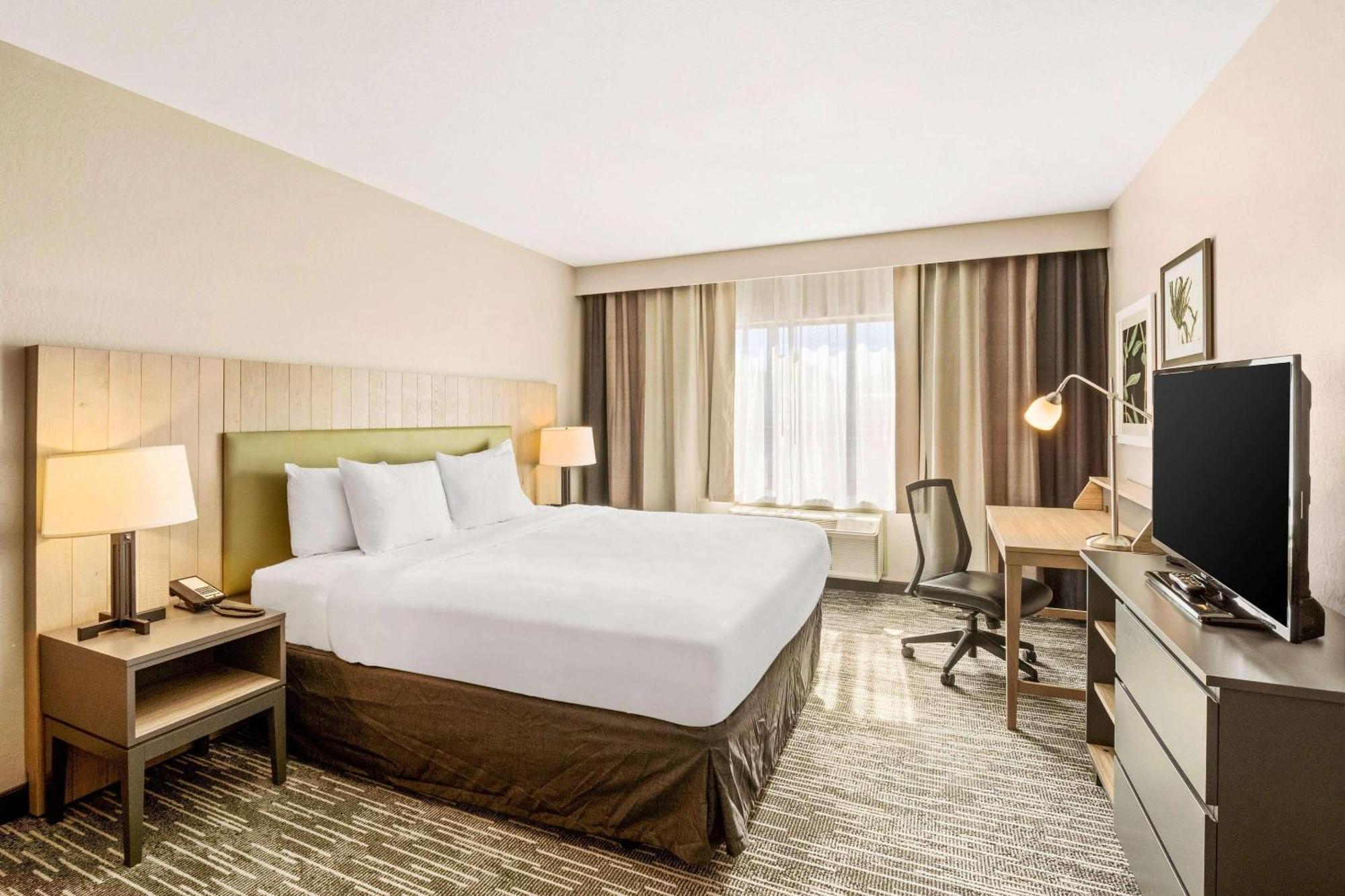 King Room Sofa Bed Non-Smoking
