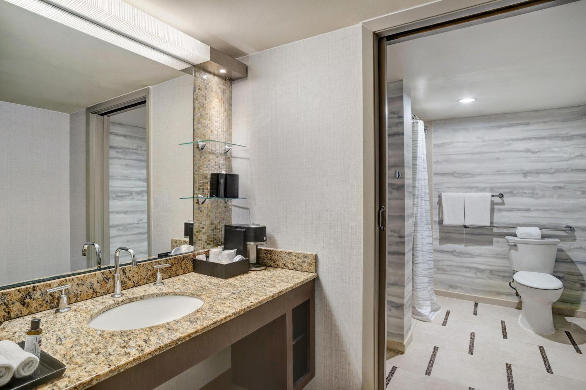 King Room Accessible Shower Disability Access