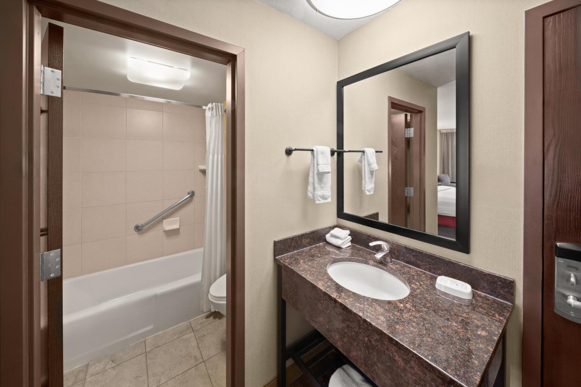 Habitación Deluxe con 2 camas grandes - No fumadores