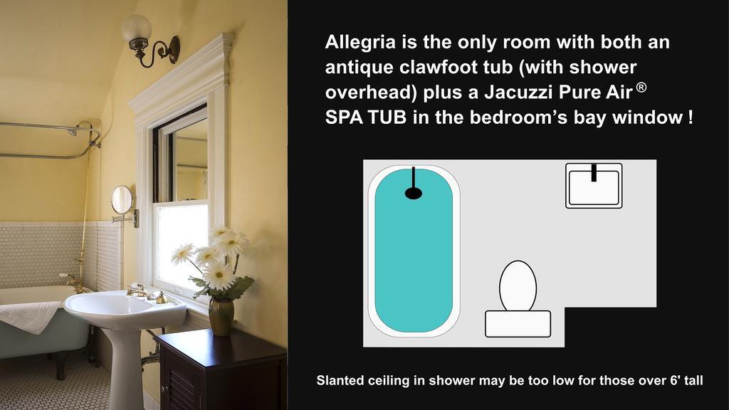 Allegria - Not Pet Friendly