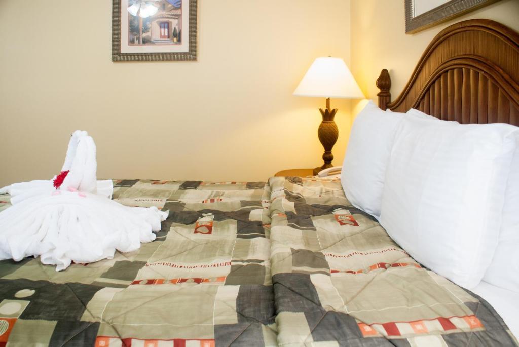 Deluxe Two-Bedroom Apartment,61198288:JPEG