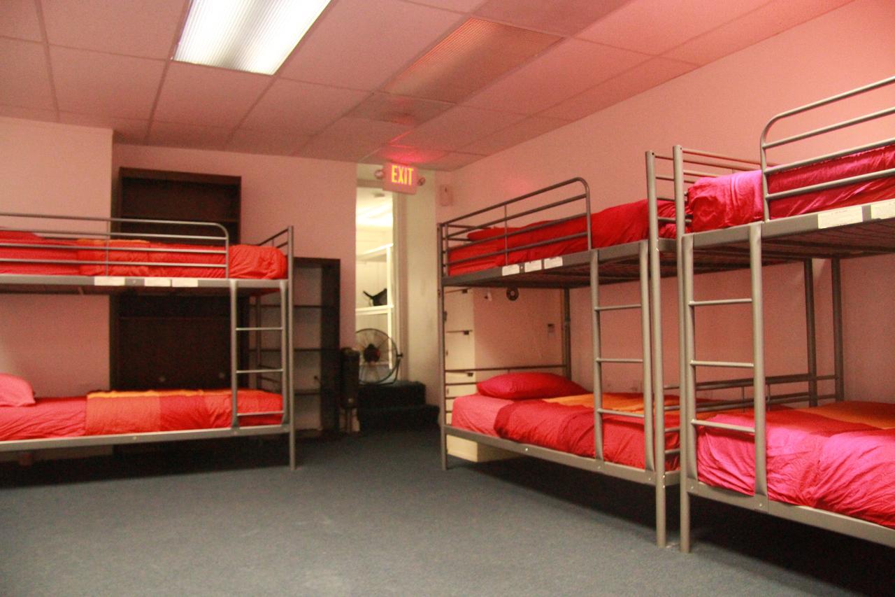 Bed in 12 bed mixed dormitory room,642475500:JPEG
