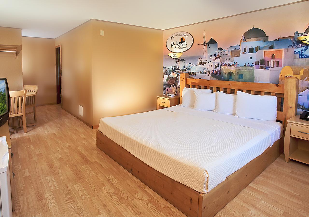 Resort Room 1 Queen includes water & theme park passes