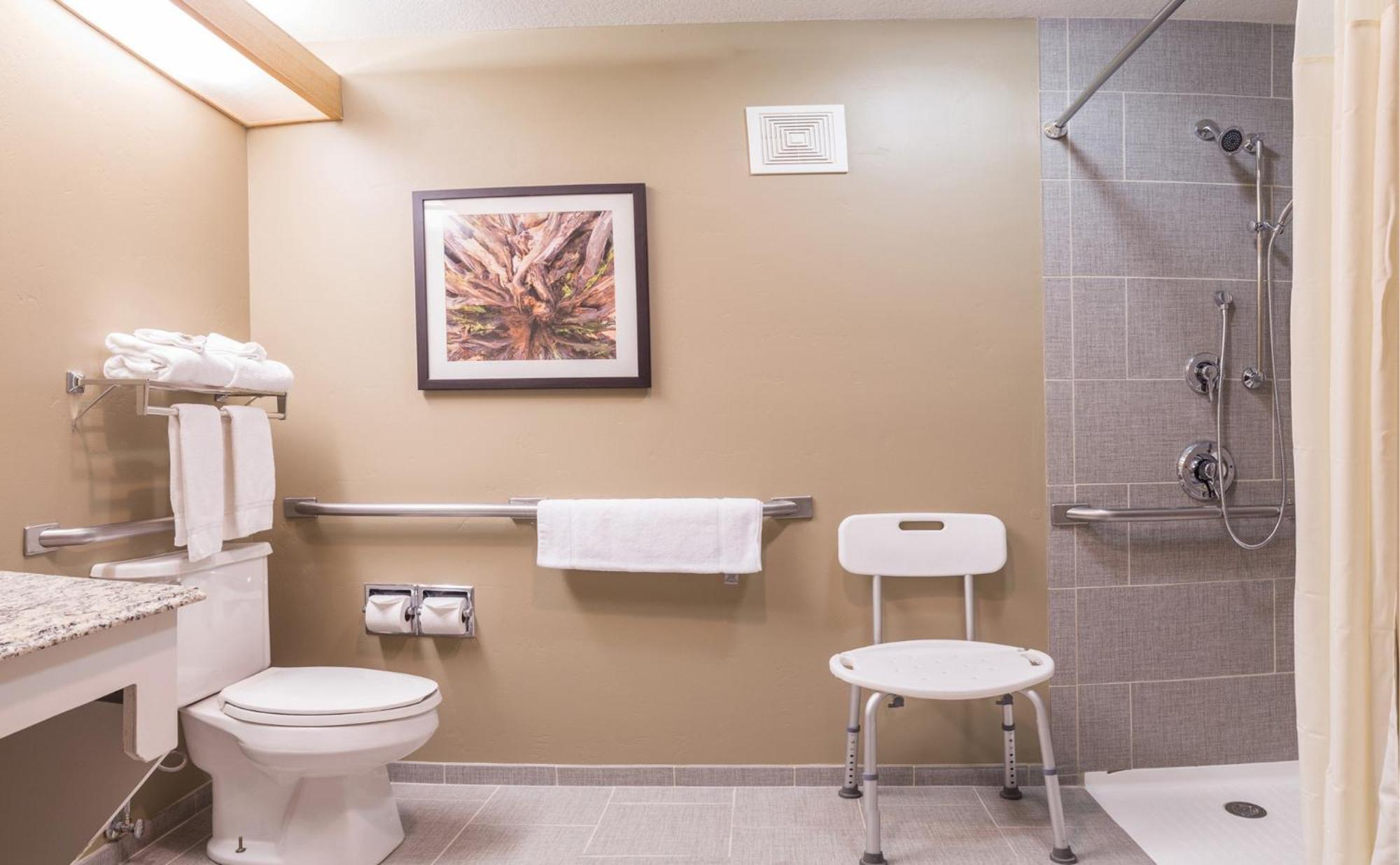 Deluxe Queen room with Roll-In Shower,943151698:JPEG