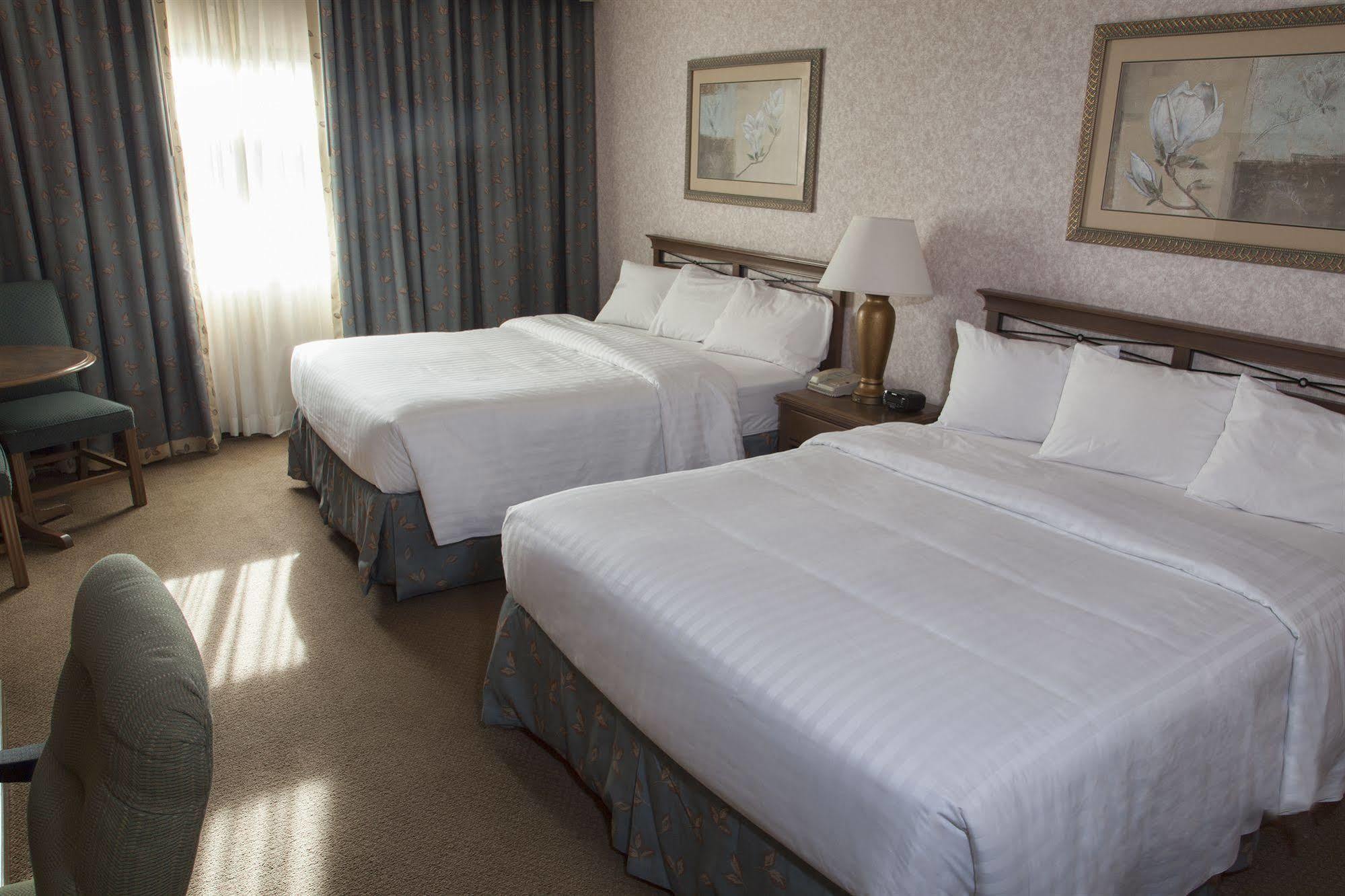 Zimmer mit 2 Queensize-Betten
