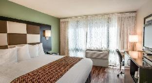Chambre Lit King-Size Standard