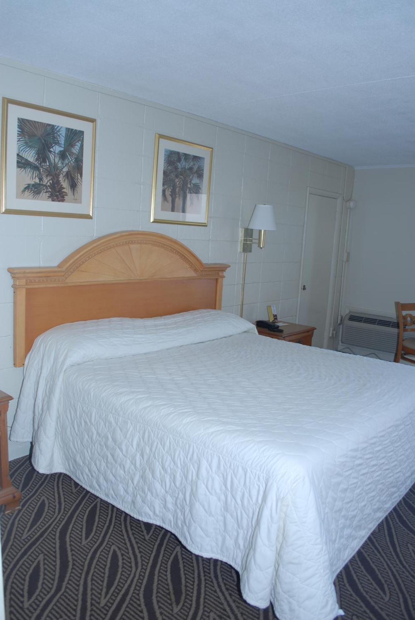 Standard King Room No View