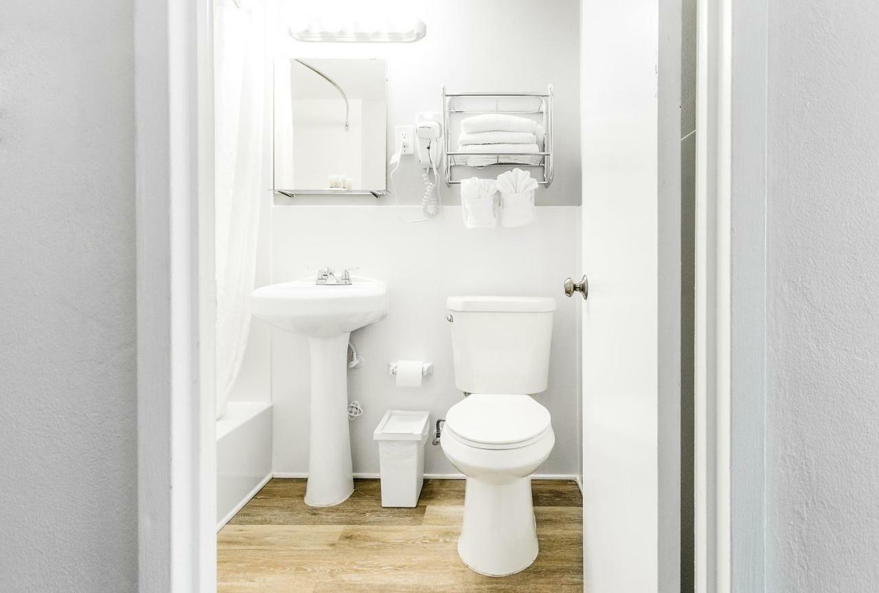 Quarto Standard