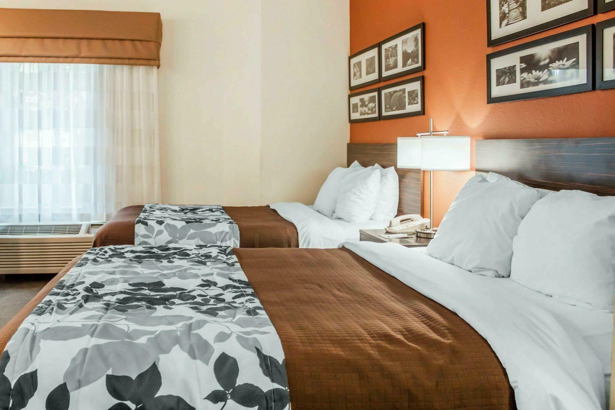 Queen Room Two Queen Beds Non-Smoking