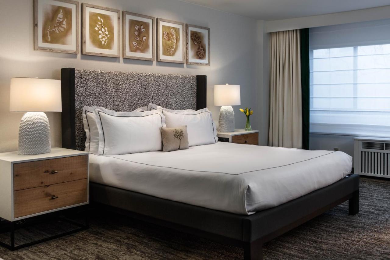 Habitación Deluxe con cama extragrande - Adaptada para personas de movilidad reducida