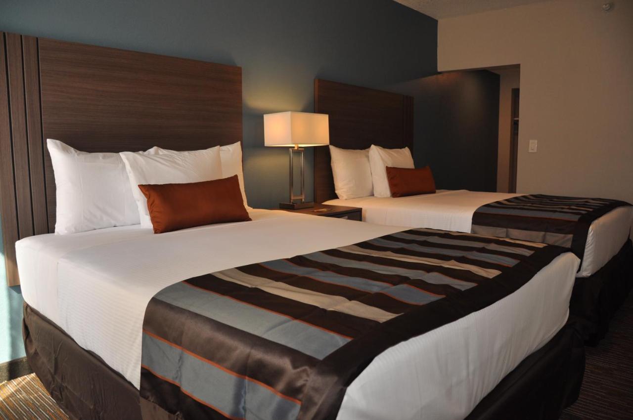 Suite King Deluxe