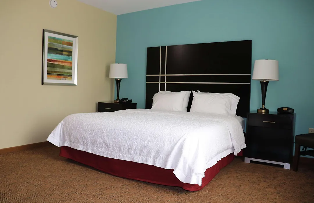 Hampton Inn Austin Oak Hill-1