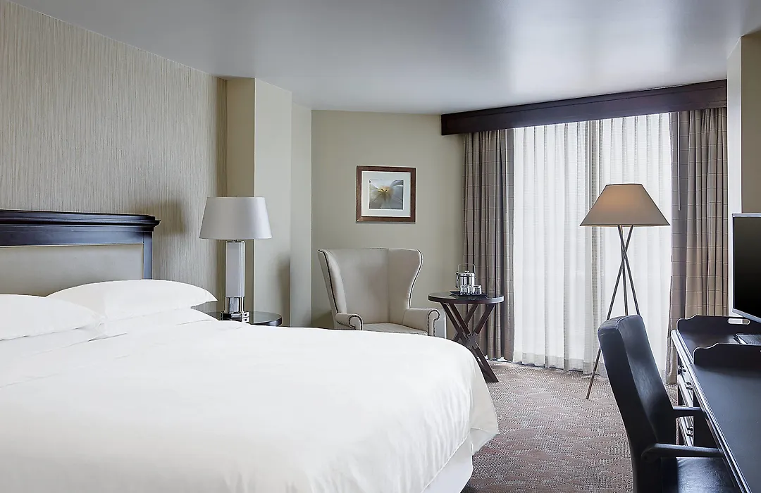 Sheraton Houston Brookhollow Hotel-1