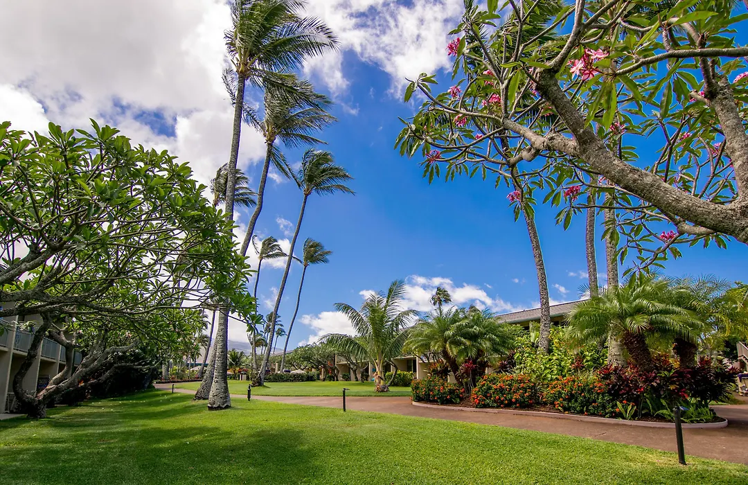 Napili Shores Maui By Outrigger - No Resort & Housekeeping Fees-1