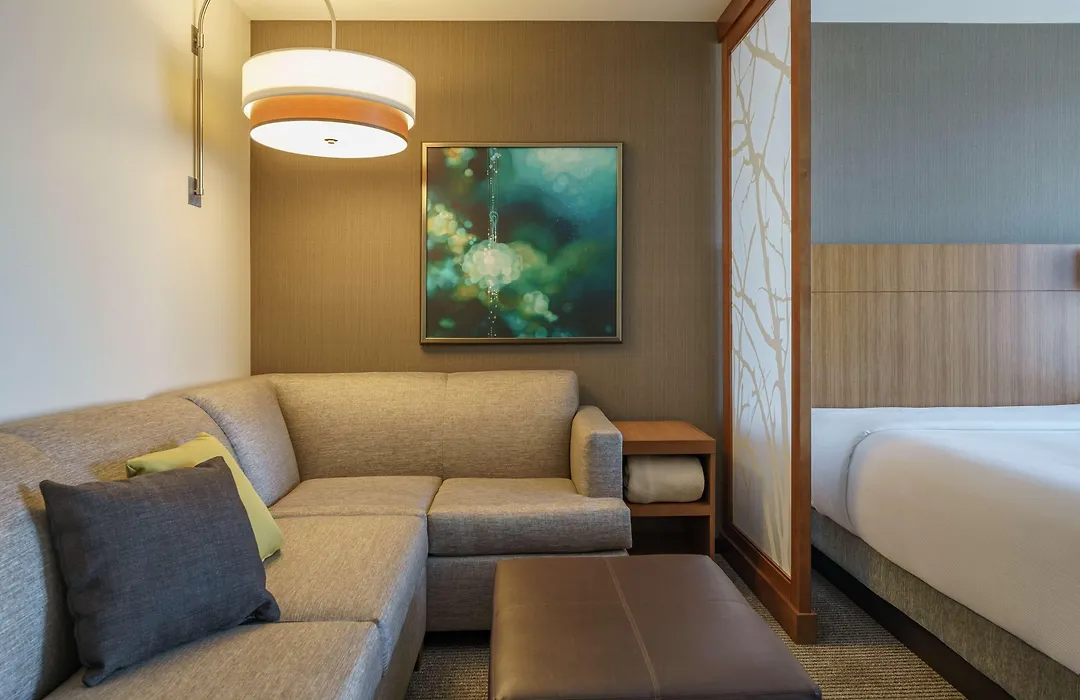 Hyatt Place Houston Galleria-1
